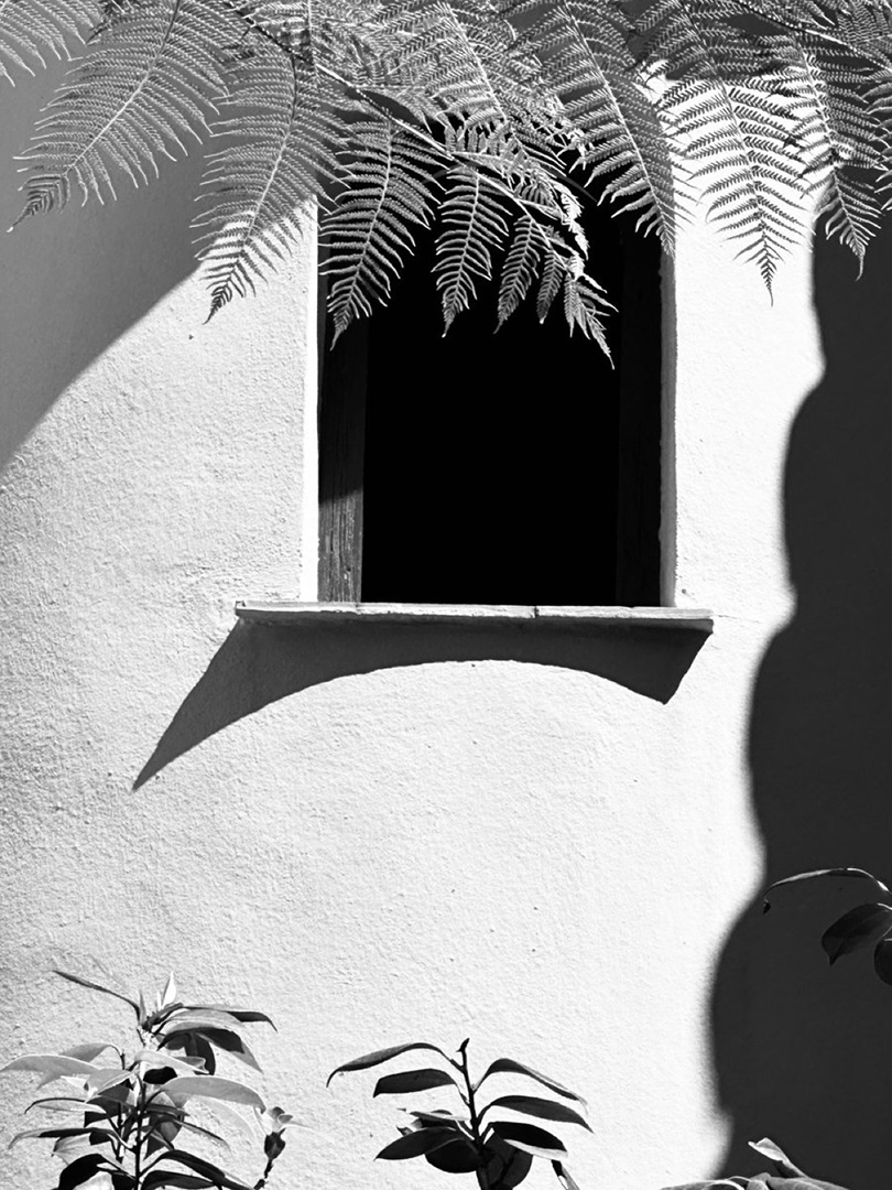 © 2025 LeFotodiEmanuele