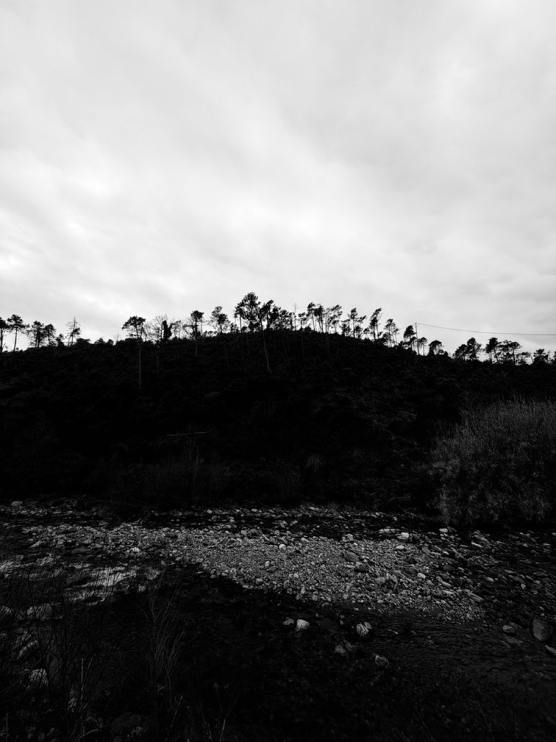 © 2026 LeFotodiEmanuele