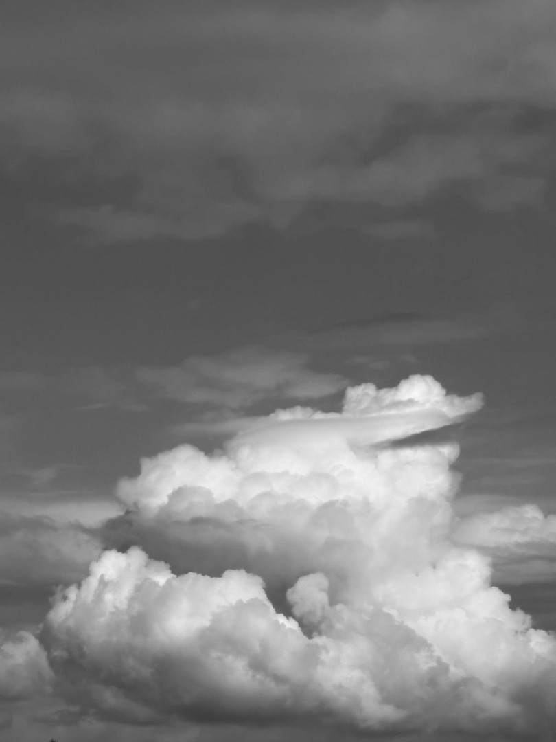 © 2026 LeFotodiEmanuele