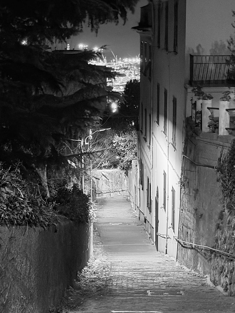 © 2026 LeFotodiEmanuele