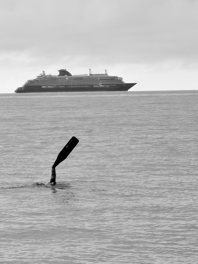 © 2026 LeFotodiEmanuele