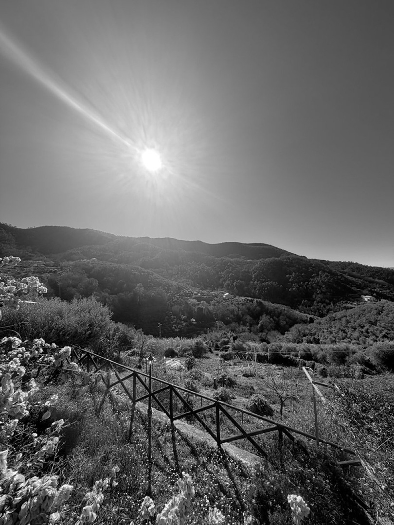 © 2026 LeFotodiEmanuele