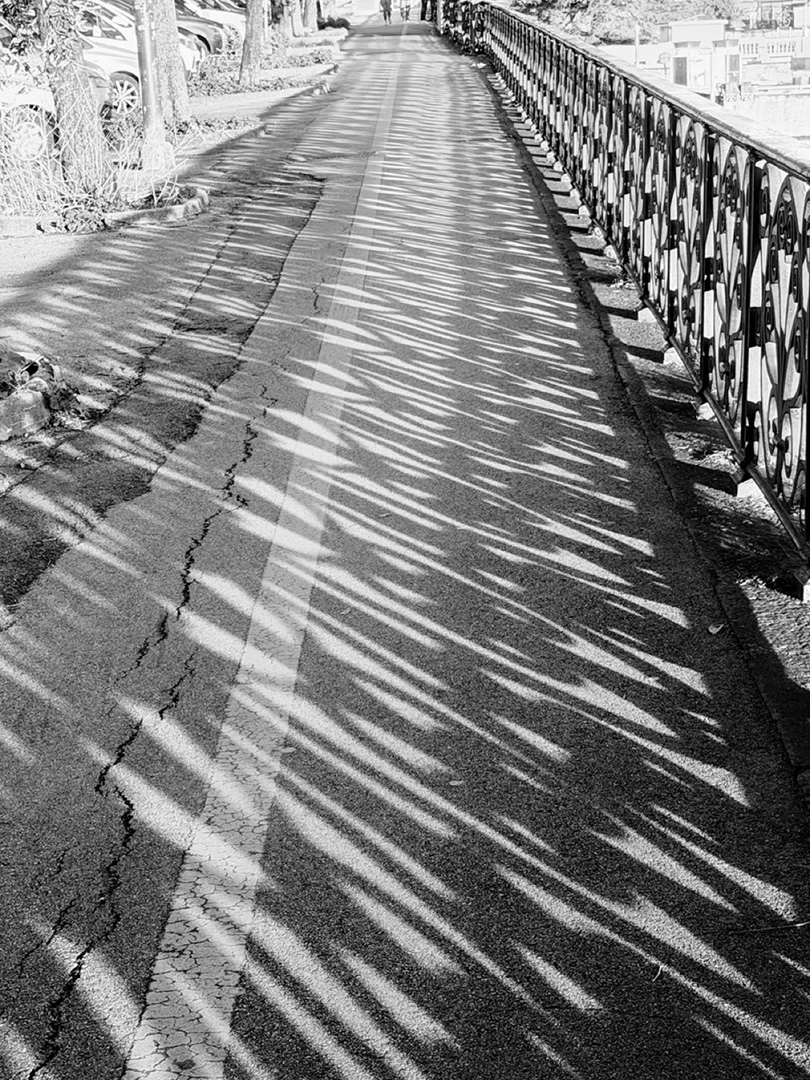 © 2026 LeFotodiEmanuele