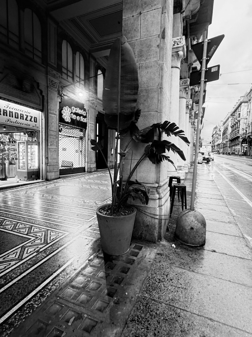 © 2026 LeFotodiEmanuele