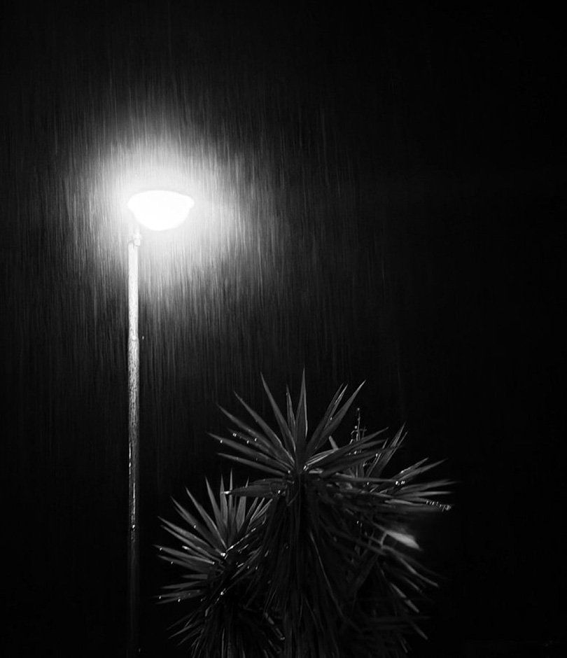 © 2026 LeFotodiEmanuele
