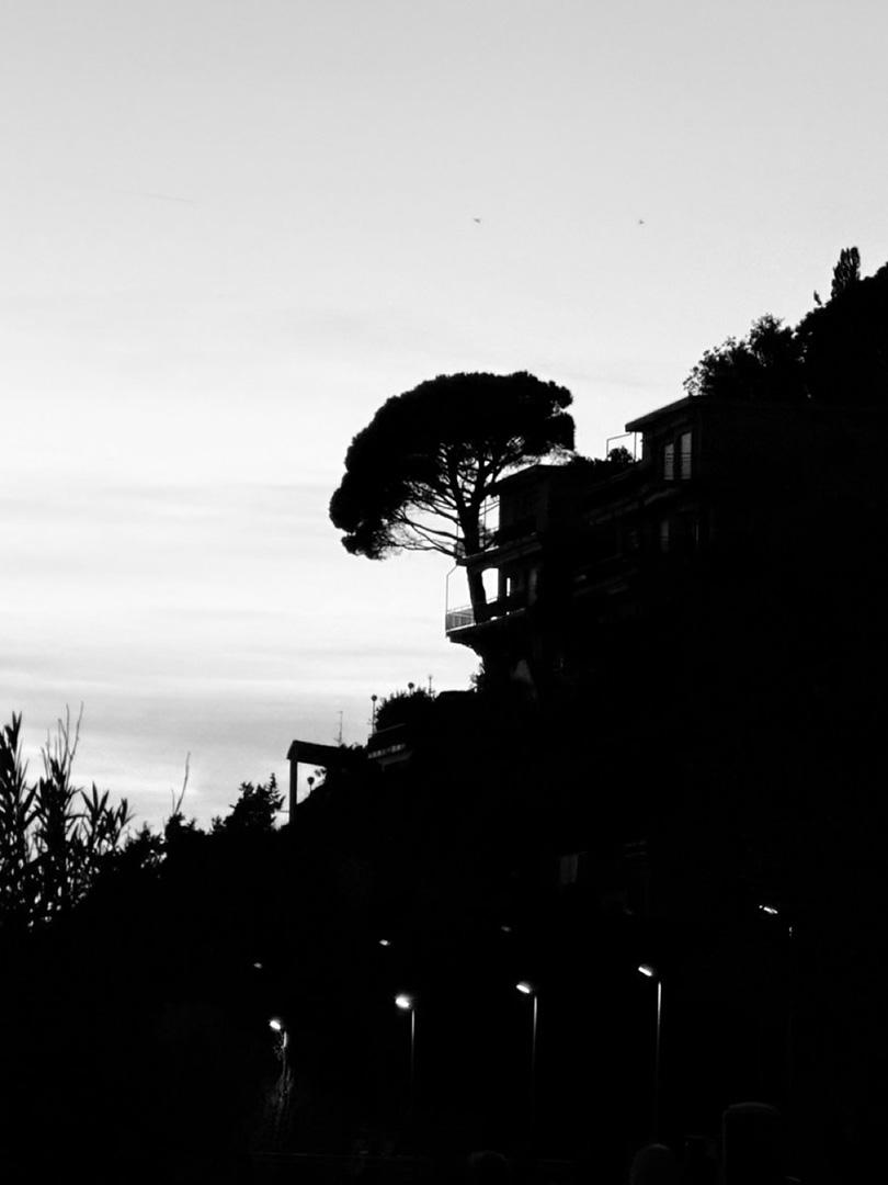 © 2026 LeFotodiEmanuele