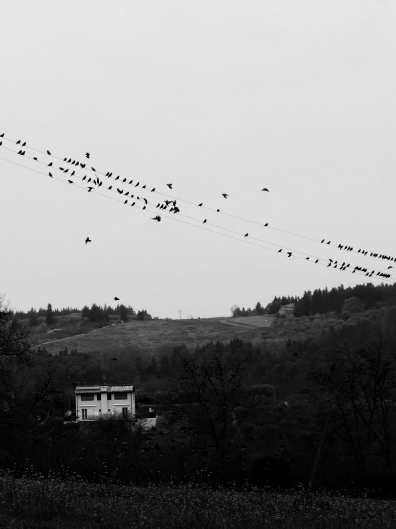 © 2026 LeFotodiEmanuele