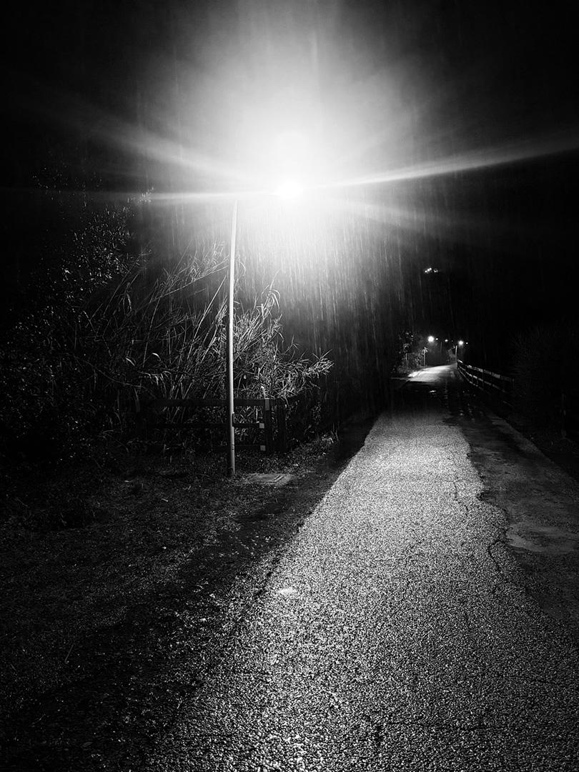 © 2026 LeFotodiEmanuele