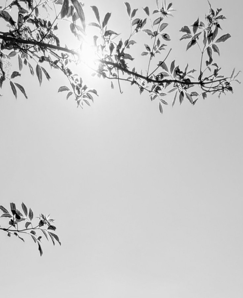 © 2026 LeFotodiEmanuele