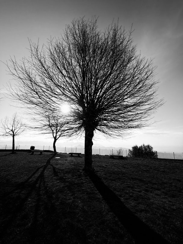© 2026 LeFotodiEmanuele