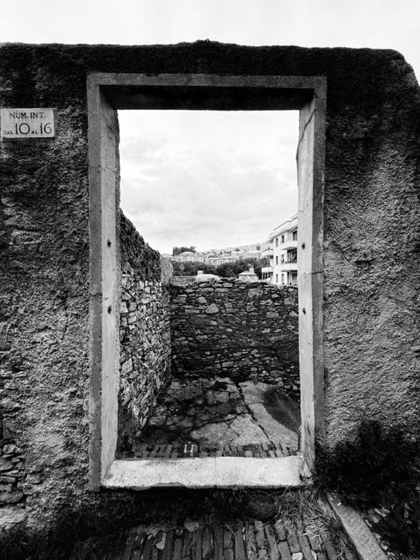 © 2026 LeFotodiEmanuele