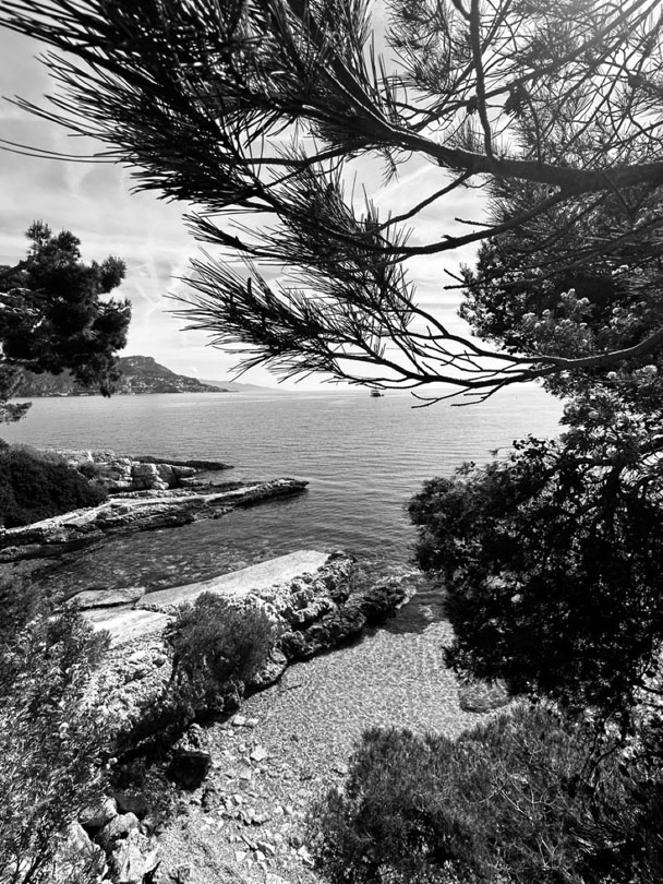 © 2026 LeFotodiEmanuele