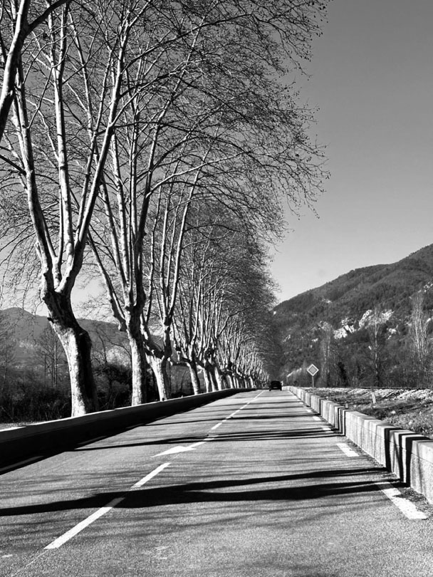 © 2026 LeFotodiEmanuele