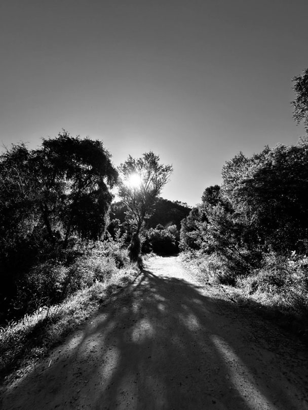© 2026 LeFotodiEmanuele