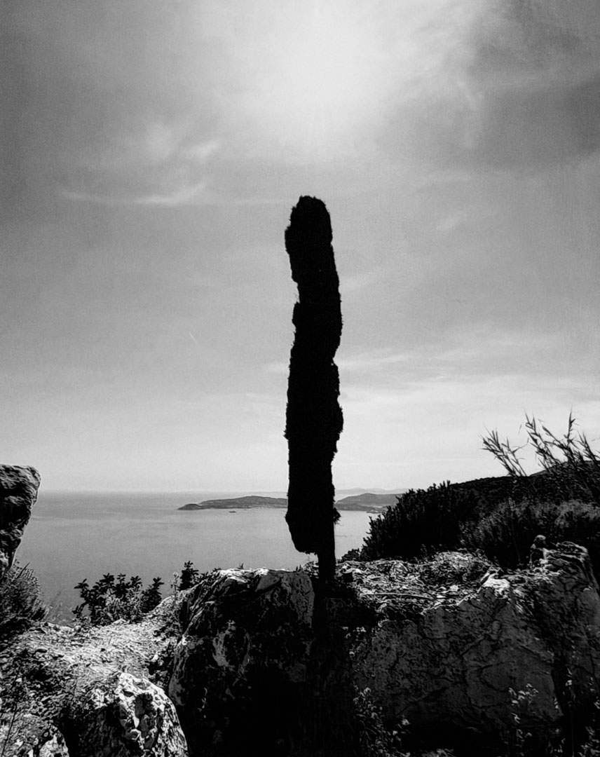 © 2026 LeFotodiEmanuele