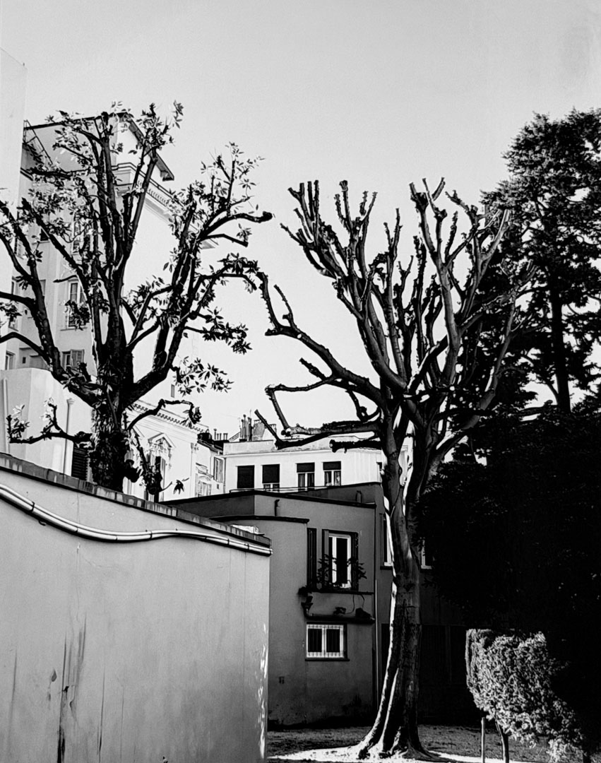 © 2026 LeFotodiEmanuele
