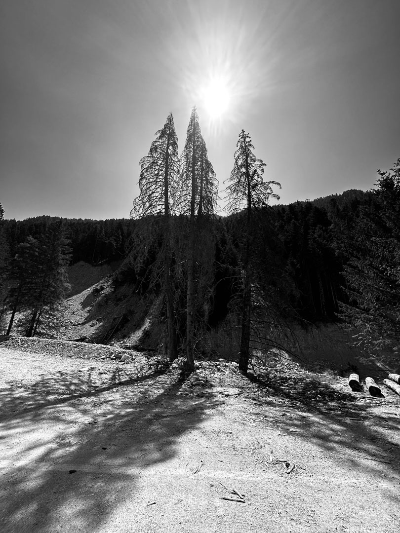 © 2026 LeFotodiEmanuele