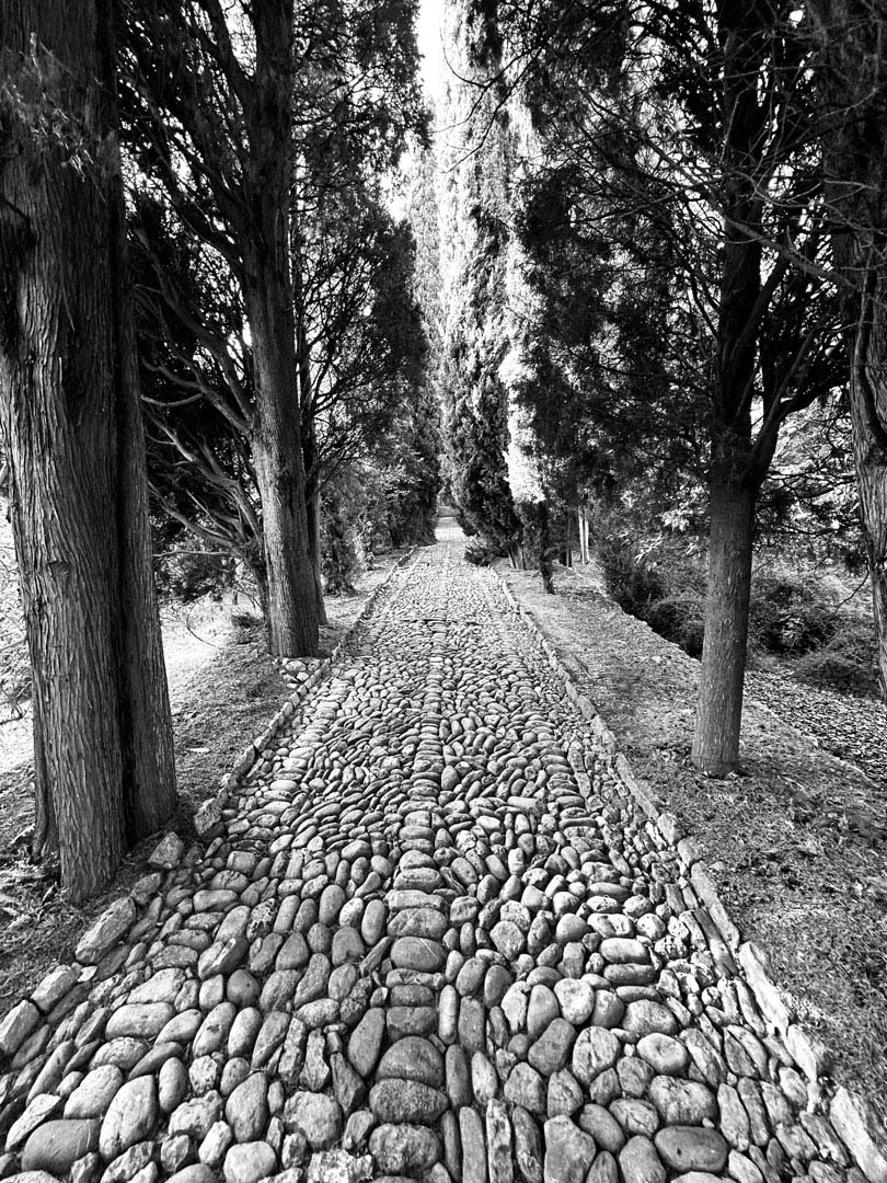 © 2026 LeFotodiEmanuele